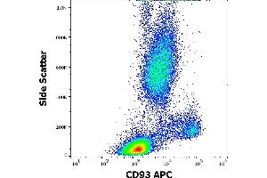Flow cytometry surface staining pattern of human peripheral whole blood stained using anti-human CD93 (VIMD2) APC antibody (4 μL reagent / 100 μL of peripheral whole blood). (CD93 antibody  (APC))