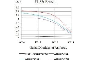 Black line: Control Antigen (100 ng),Purple line: Antigen (10 ng), Blue line: Antigen (50 ng), Red line:Antigen (100 ng) (LILRA1 antibody  (AA 322-461))