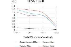 Black line: Control Antigen (100 ng),Purple line: Antigen (10 ng), Blue line: Antigen (50 ng), Red line:Antigen (100 ng) (LRP12 antibody  (AA 355-492))