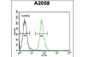 ABHEB Antibody (C-term) (ABIN653654 and ABIN2842995) flow cytometric analysis of  cells (right histogram) compared to a negative control cell (left histogram).