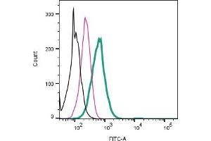 Cell surface detection of Neuronal Pentraxin Receptor by indirect flow cytometry in live intact human  monocytic leukemia cell line: + goat-anti-rabbit-FITC.