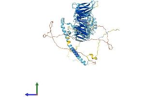 Protein Structure (PS) image for Eukaryotic Translation Initiation Factor 3, Subunit B (EIF3B) (AA 1-803) protein (His tag) (ABIN7564606)