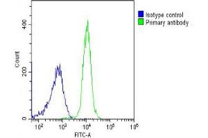 Flow Cytometry (FACS) image for anti-Peptidylprolyl Isomerase D (PPID) (AA 336-370) antibody (ABIN6243007)