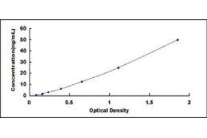 Typical standard curve (PRCP ELISA Kit)