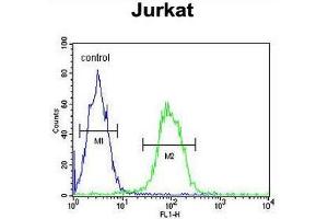 T150A Antibody (Center) flow cytometric analysis of Jurkat cells (right histogram) compared to a negative control cell (left histogram).