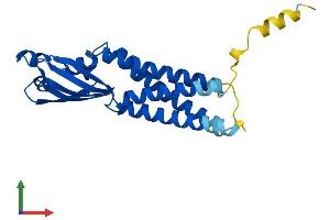AlphaFold protein structure predicition of Human Recombinant CLRN1 Protein, UniprotID P58418 (Clarin 1 Protein (CLRN1) (AA 1-232) (His tag))