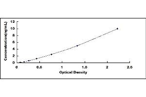 Typical standard curve (SFTPA2 ELISA Kit)