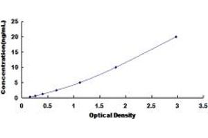 Typical standard curve (EPHA1 ELISA Kit)