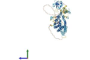 AlphaFold protein structure predicition of Mouse Recombinant Tfip11 Protein, UniprotID Q9ERA6