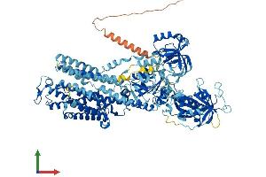 AlphaFold protein structure predicition of Human Recombinant ATP12A Protein, UniprotID P54707