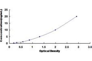 Typical standard curve (RNASE8 ELISA Kit)