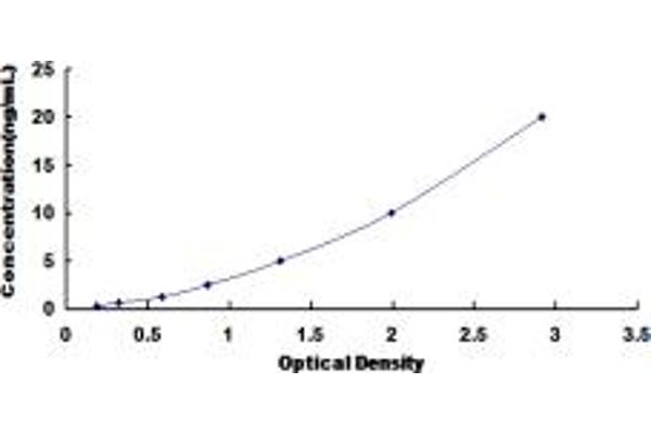 RNASE8 ELISA Kit