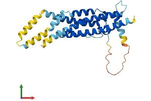 AlphaFold protein structure predicition of Human Recombinant C12orf60 Protein, UniprotID Q5U649