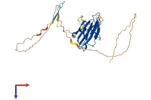Transmembrane Emp24 Protein Transport Domain Containing 8 (TMED8) (AA 1-325) protein (His tag)
