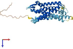 Neuropeptides B/W Receptor 1 (NPBWR1) (AA 1-328) protein (His tag)