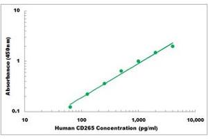 Representative Standard Curve