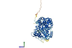 Protein Structure (PS) image for EH-Domain Containing 1 (EHD1) (AA 1-534) protein (His tag) (ABIN7565244)