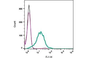 Cell surface detection of Adenosine A1 Receptor by indirect flow cytometry in live intact mouse  microglia cell line: + goat-anti-rabbit-FITC .