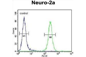 CCDC123 Antibody (C-term) flow cytometric analysis of Neuro-2a cells (right histogram) compared to a negative control cell (left histogram). (CEP89 antibody  (C-Term))