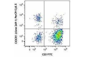 Flow Cytometry (FACS) image for anti-Chemokine (C-X3-C Motif) Receptor 1 (CX3CR1) antibody (PerCP-Cy5.5) (ABIN2660174) (CX3CR1 antibody  (PerCP-Cy5.5))