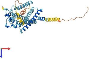 EDG4 Protein (AA 1-348) (His tag)
