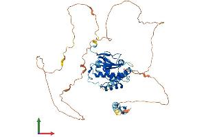 AlphaFold protein structure predicition of Mouse Recombinant Sprtn Protein, UniprotID G3X912 (Spartan Protein (AA 1-497) (His tag))