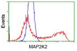 Flow Cytometry (FACS) image for anti-Mitogen-Activated Protein Kinase Kinase 2 (MAP2K2) antibody (ABIN1499477) (MEK2 antibody)
