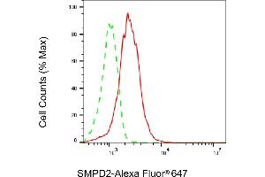anti-Sphingomyelin phosphodiesterase 2, Neutral Membrane (Neutral Sphingomyelinase) (SMPD2) antibody