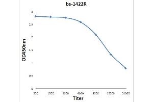 Antigen: 0. (ABCC4 antibody  (AA 751-880))