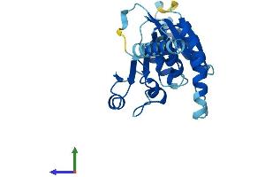 Protein Structure (PS) image for Asparagine-Linked Glycosylation 14 Homolog (ALG14) (AA 1-216) protein (His tag) (ABIN7552047)