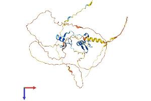 GATA1 Protein (AA 1-413) (His tag)