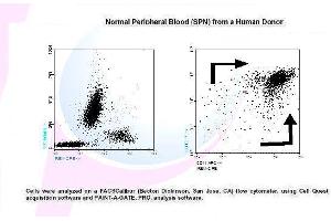 Image no. 1 for anti-CD300e Molecule (CD300E) antibody (PE) (ABIN1112411) (CD300E antibody  (PE))