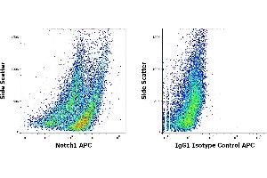 Notch1 antibody  (APC)