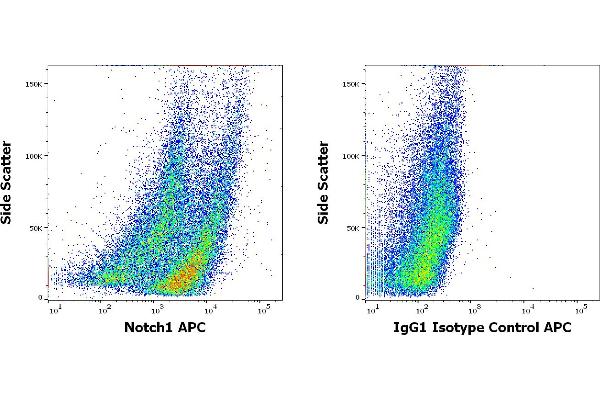 Notch1 antibody  (APC)