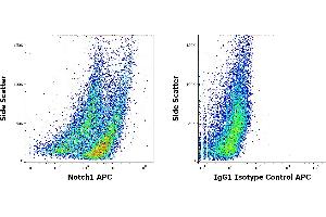 Flow cytometry intracellular staining patterns of PHA stimulated human peripheral whole blood stained using anti-Notch1 (mN1A) PE antibody (concentration in sample 3 μg/mL, left) or mouse IgG1 isotype control (MOPC-21) PE antibody (concentration in sample 3 μg/mL, same as Notch1 PE concentration, right).