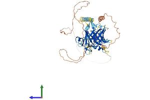 Protein Structure (PS) image for Tubby Like Protein 2 (TULP2) (AA 1-520) protein (His tag) (ABIN7544794)