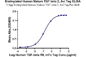 Immobilized Biotinylated Human Mature TGF beta 2, Avi Tag at 2 μg/mL (100 μL/Well) on the plate. (TGFB2 Protein (AA 303-414) (AVI tag,Biotin))