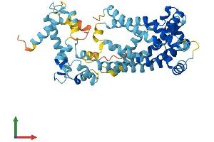 AlphaFold protein structure predicition of Human Recombinant SLC25A23 Protein, UniprotID Q9BV35
