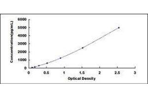 ELISA image for Carboxypeptidase M (CPM) ELISA Kit (ABIN418098)