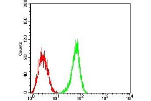 Flow cytometric analysis of HL-60 cells using CD363 mouse mAb (green) and negative control (red). (S1PR1 antibody)