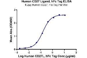 ELISA image for CD70 Molecule (CD70) (AA 39-193) protein (Fc Tag) (ABIN7274227)
