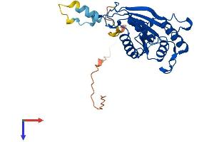 PGAM5 Protein (AA 1-288) (His tag)