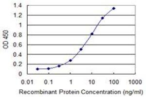Detection limit for recombinant GST tagged QPCT is 0. (QPCT antibody  (AA 262-359))