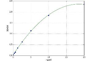 EPH Receptor A10 (EPHA10) ELISA Kit