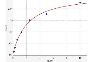 Typical standard curve (Adenosine A2b Receptor ELISA Kit)