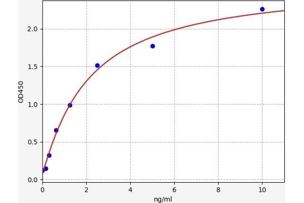 Adenosine A2b Receptor ELISA Kit