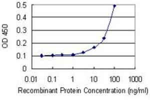 Detection limit for recombinant GST tagged UBE2Z is 3 ng/ml as a capture antibody. (UBE2Z antibody  (AA 136-225))
