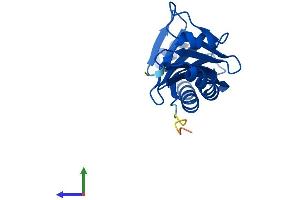 Protein Structure (PS) image for TBP-Like 1 (TBPL1) (AA 1-186) protein (His tag) (ABIN7544360)