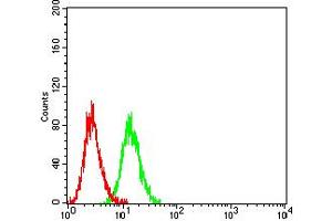 Flow cytometric analysis of Ramos cells using CD112 mouse mAb (green) and negative control (red). (PVRL2 antibody  (AA 58-212))
