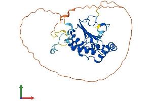 AlphaFold protein structure predicition of Human Recombinant METTL8 Protein, UniprotID Q9H825 (METTL8 Protein (AA 1-291) (His tag))